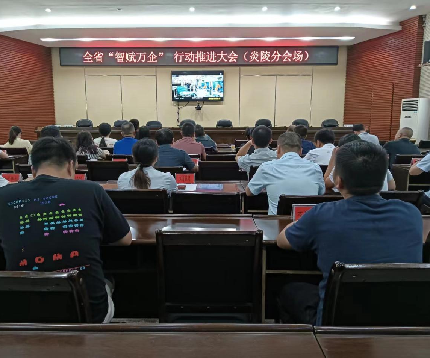 炎陵县“智赋万企”行动推进会议